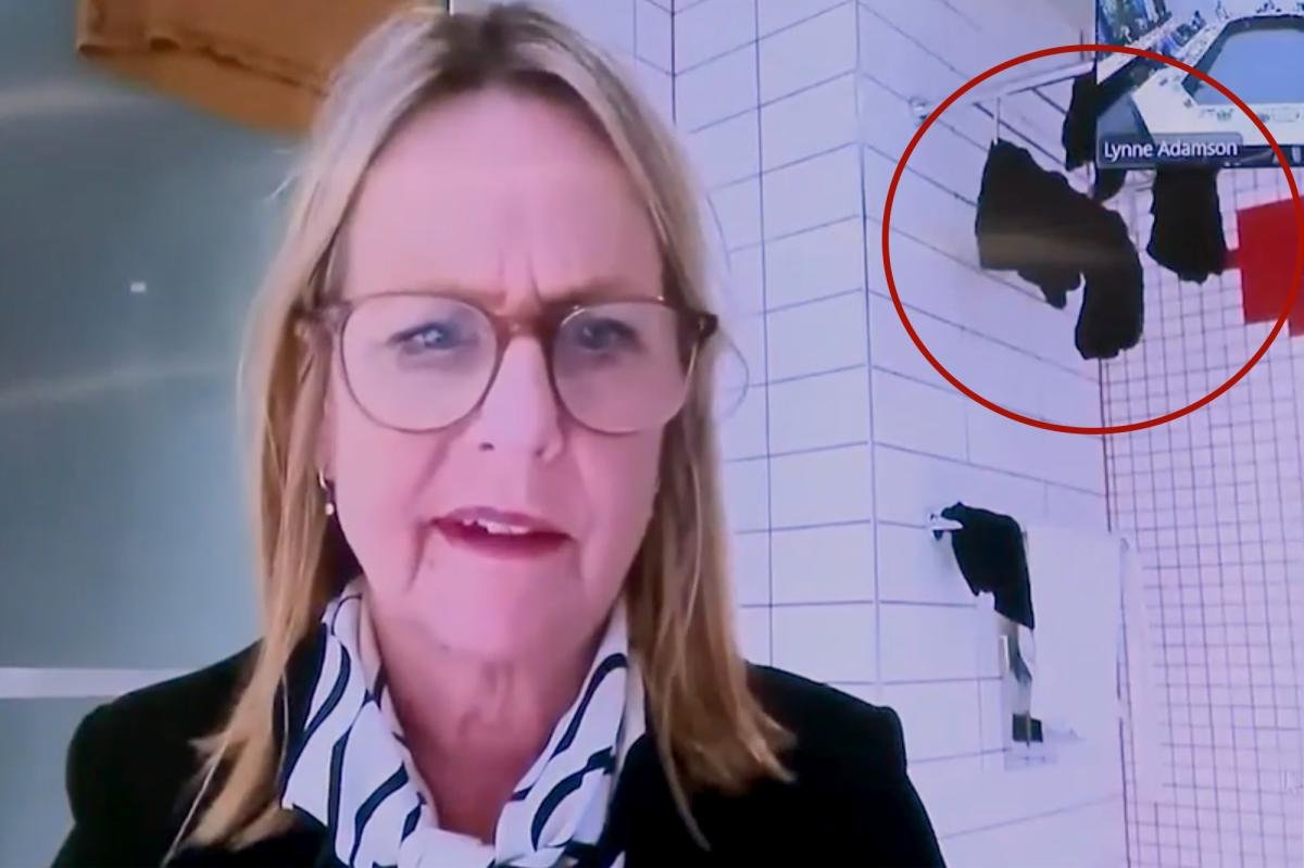 You are currently viewing New Zealand politician caught joining city council meeting from bathroom with underwear drying