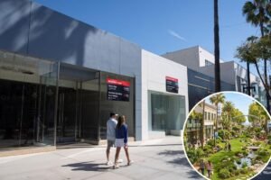 Read more about the article Viral rendering reimagines Santa Monica’s Third Street Promenade as lush green shopper’s paradise