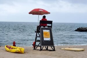 Read more about the article $570k pension for city lifeguard is  just the tip of an iceberg of corruption