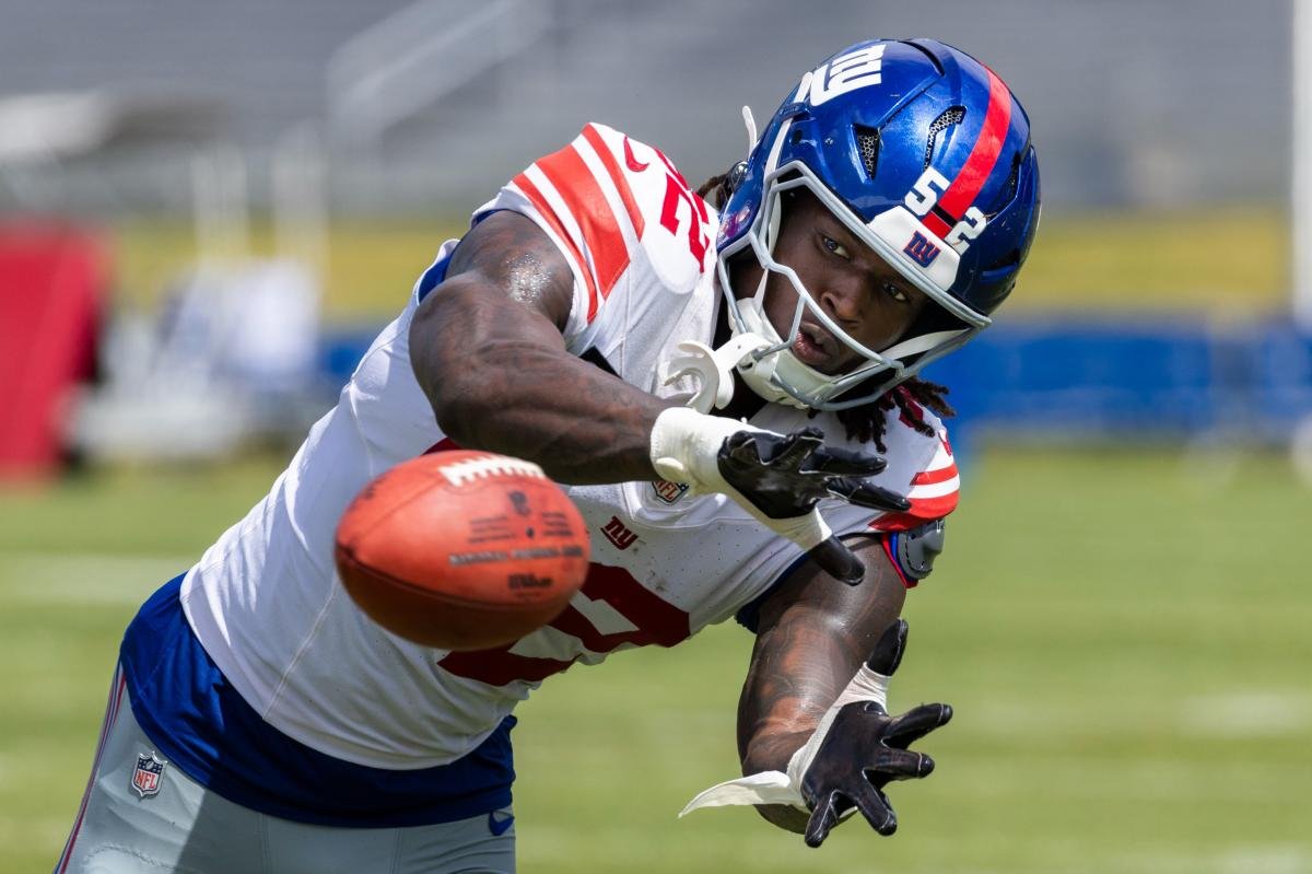 You are currently viewing Arvell Reese looking like a top pick with another impressive day at Giants training camp