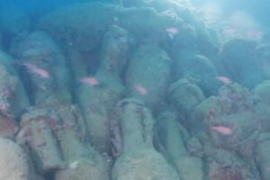 Read more about the article Roman shipwreck believed to be over 2,000 years old discovered in Sicily
