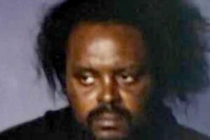 Read more about the article 150 arrests and he still walks: How NY laws push criminals to grow  worse