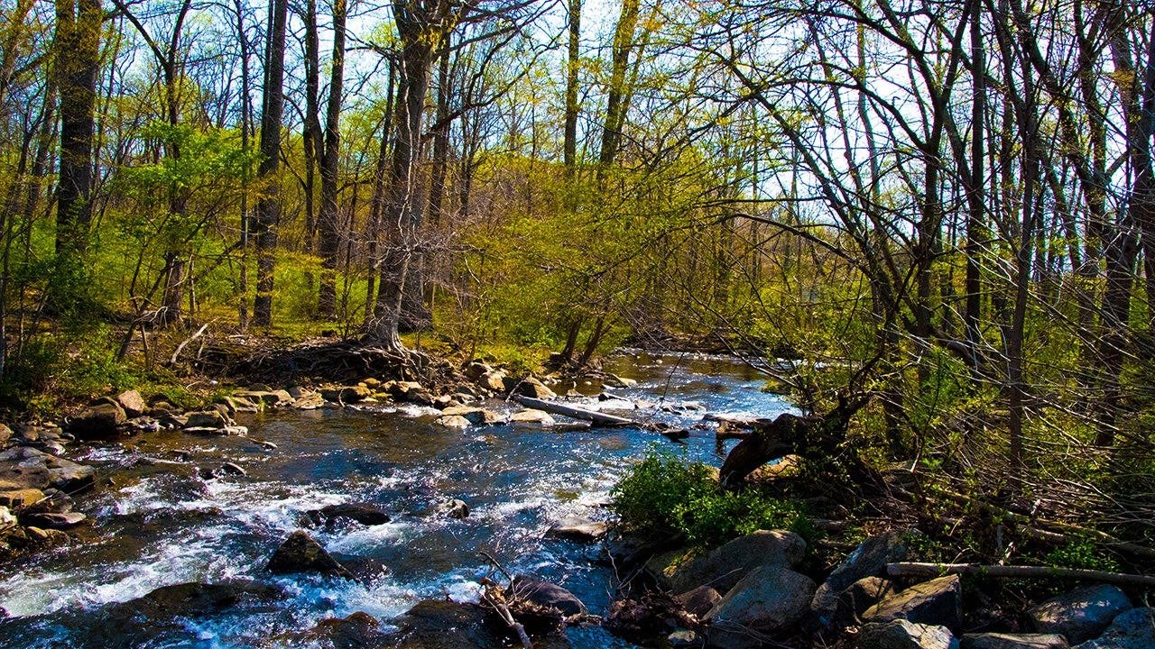 You are currently viewing Rabid beavers attack 2 teens in the wild, forcing partial closure of Maryland park