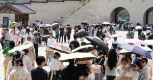 Read more about the article Record heat wave impacts people and animals in Japan and Korean Peninsula