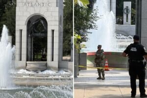Read more about the article Vandals deface World War II memorial fountain with bubble soap, red graffiti in ‘deranged’ attack on DC landmark