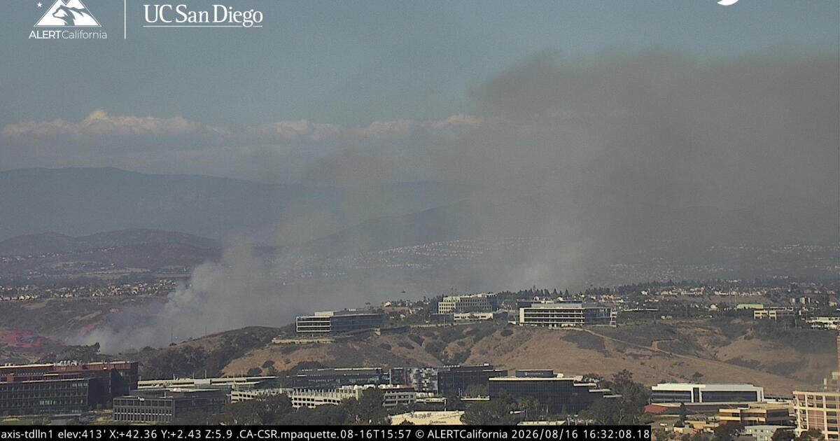 Read more about the article Brush fire breaks out in Sorrento Valley; evacuations ordered