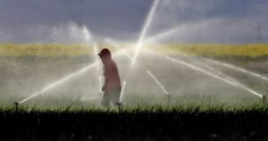 Read more about the article California to phase out paraquat, a powerful weedkiller associated with serious health issues