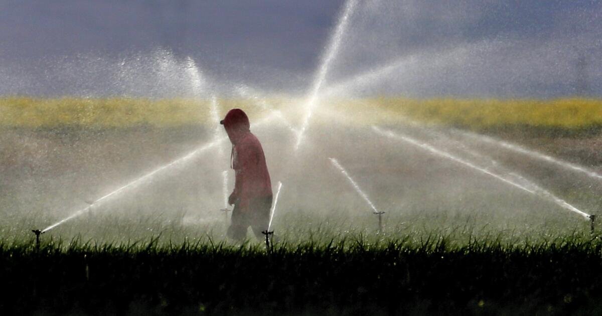 You are currently viewing California to phase out paraquat, a powerful weedkiller associated with serious health issues
