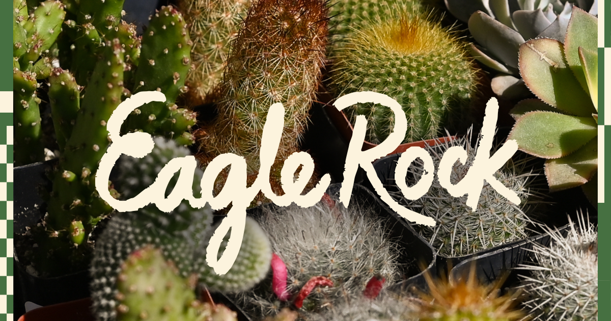 You are currently viewing A guide to Eagle Rock, Los Angeles: What to do, see, eat