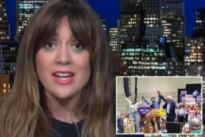 Read more about the article Former Bernie Sanders operative warns radical left has ‘overtaken’ the Democratic Party from within