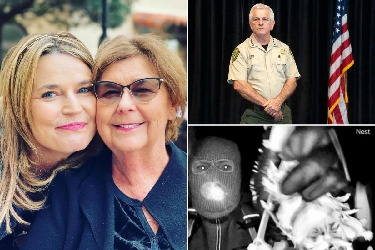 You are currently viewing Nancy Guthrie investigation failures are âshocking and disturbingâ â FBI must take control to catch killer: sourcesÂ 