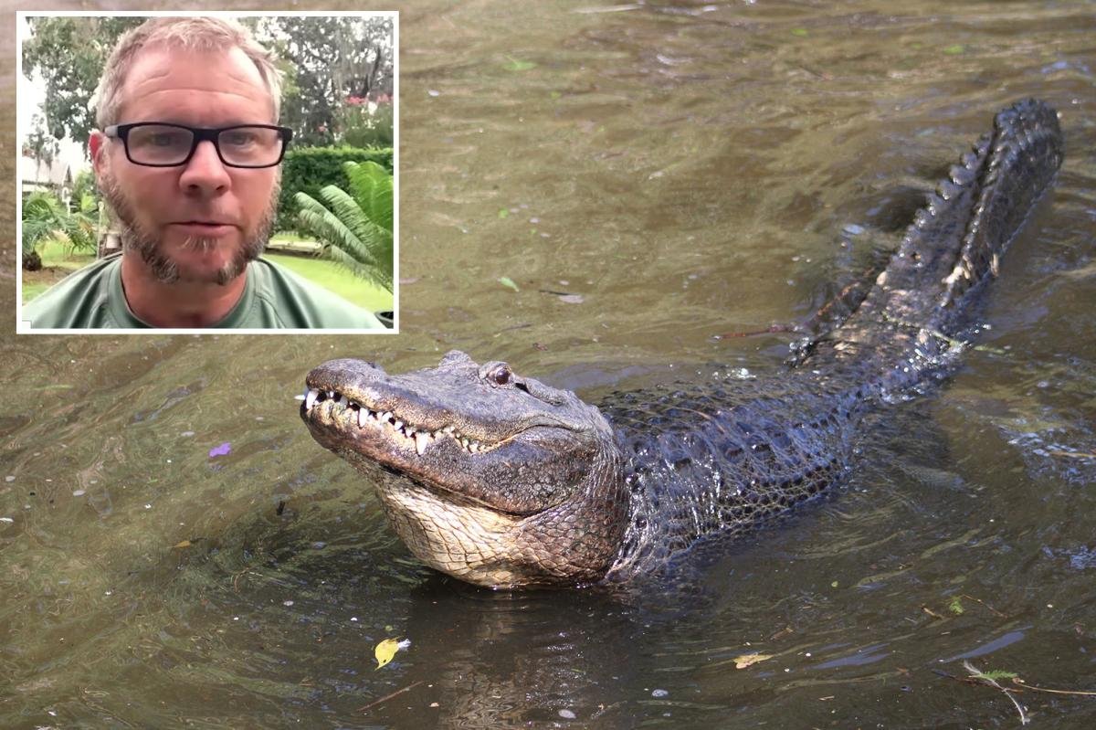 You are currently viewing Florida swimmer’s arm ripped off by alligator in gruesome attack that left ‘bones poking out’ â before being saved by Good Samaritan