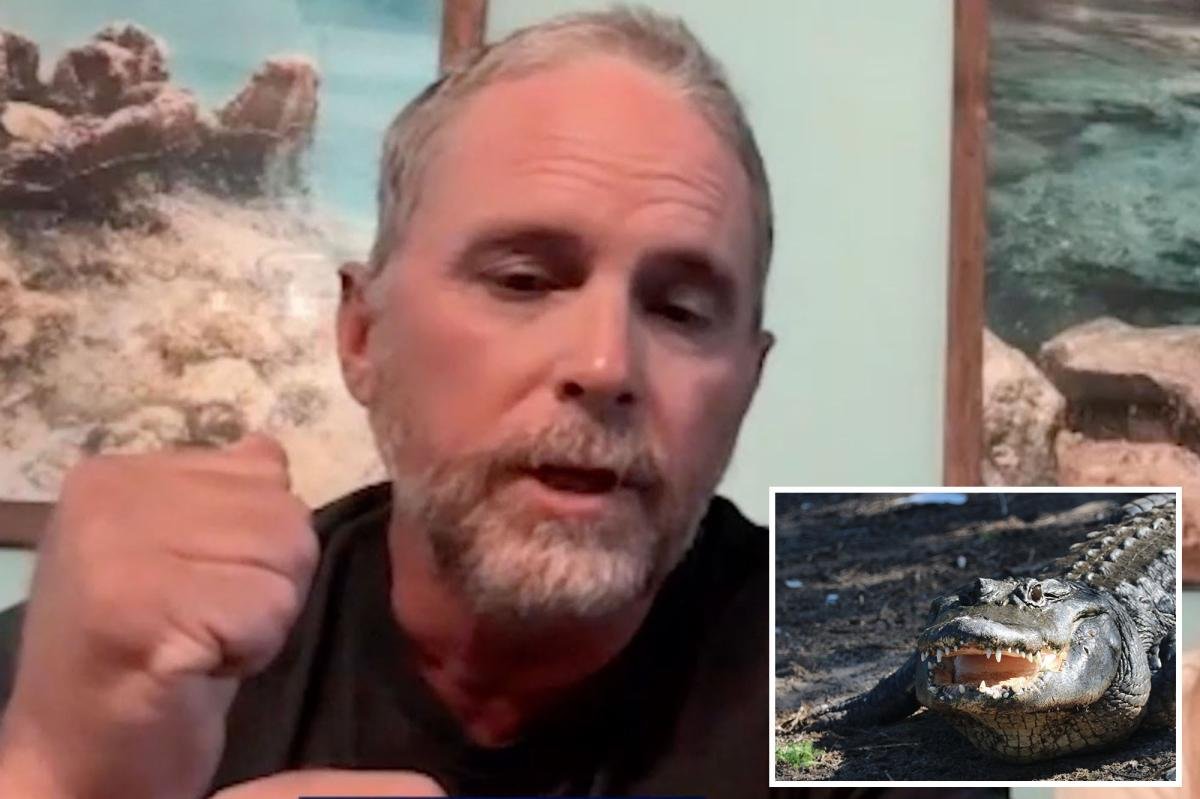 Read more about the article Paddleboarder recounts fighting terrifying alligator that moved ‘like a missile’ and shredded Florida swimmer’s arm