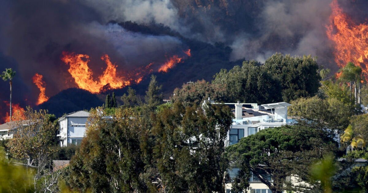 Read more about the article California passes toughest wildfire rules in the U.S. for home landscaping