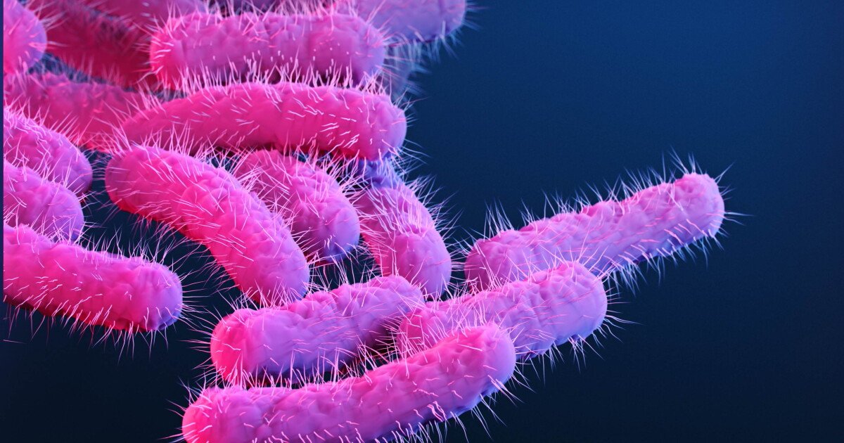You are currently viewing A new vaccine could vanquish a major cause of deadly diarrheal disease