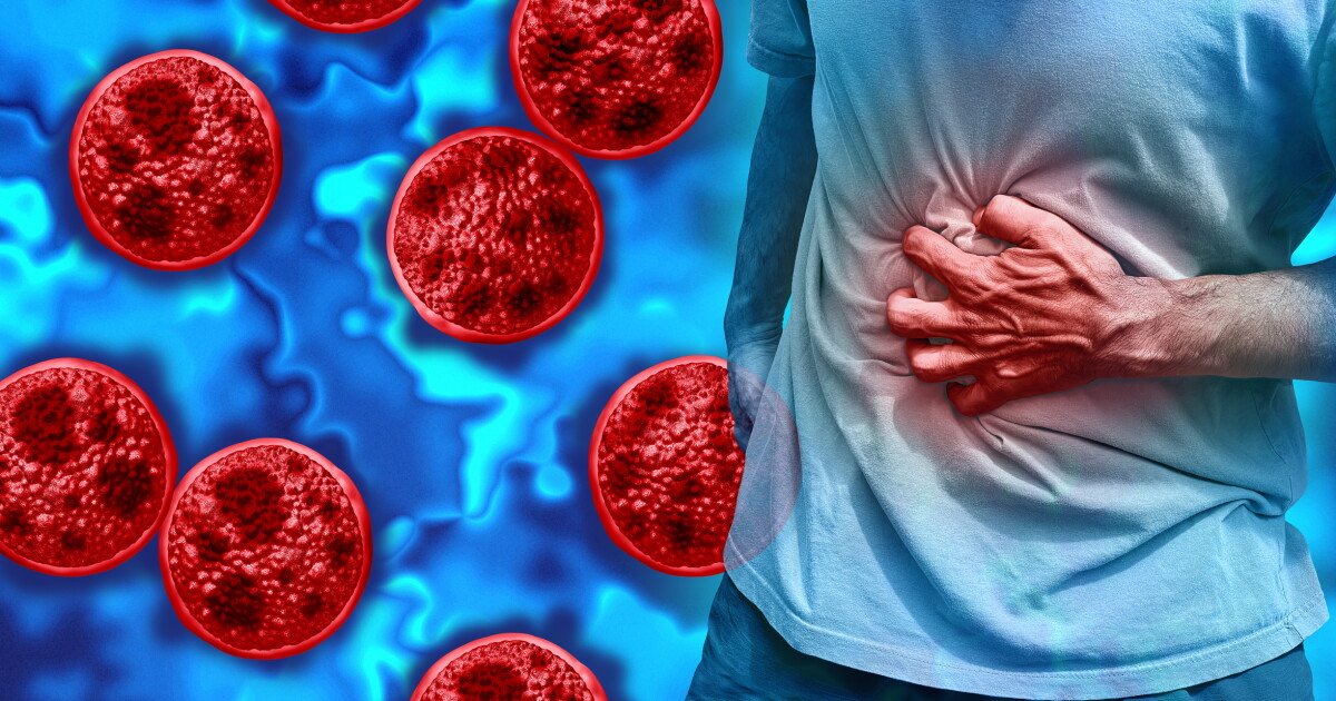 You are currently viewing What Cyclospora does inside the gut and how it gets there