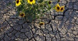 Read more about the article As Colorado River reservoirs shrink, Arizona warns it could sue