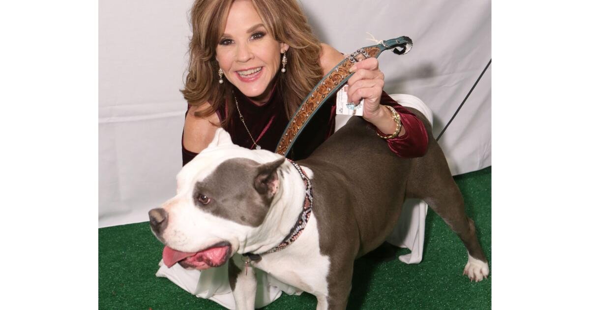 Read more about the article ‘The Exorcist’ actor Linda Blair’s home and dog kennels searched by L.A. County officials