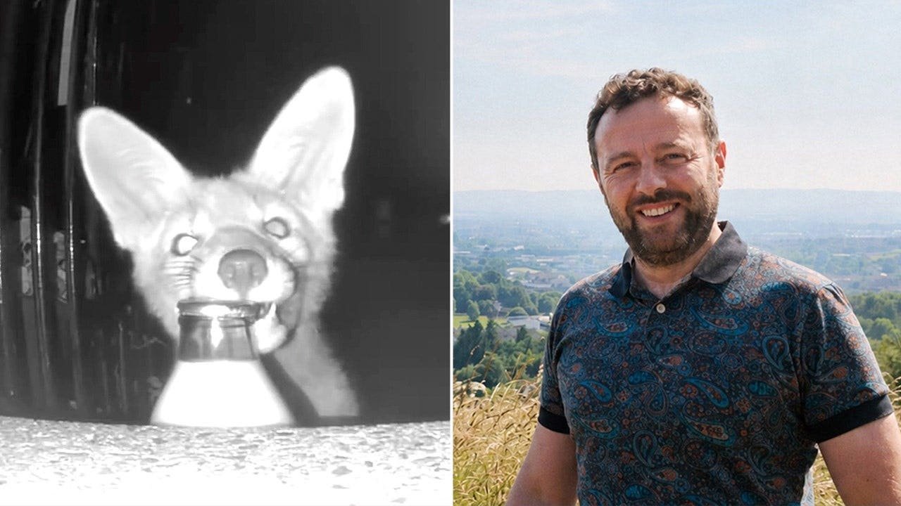 You are currently viewing Glasgow homeowner uses security camera to catch fox stealing milk