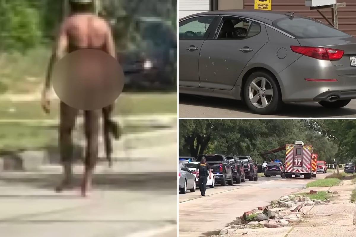 You are currently viewing Houston police shoot gunman who indiscriminately fired on vehicles, injuring mother and daughter