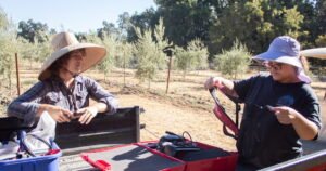 Read more about the article California drew the line on regenerative agriculture. Farmers are making sense of it