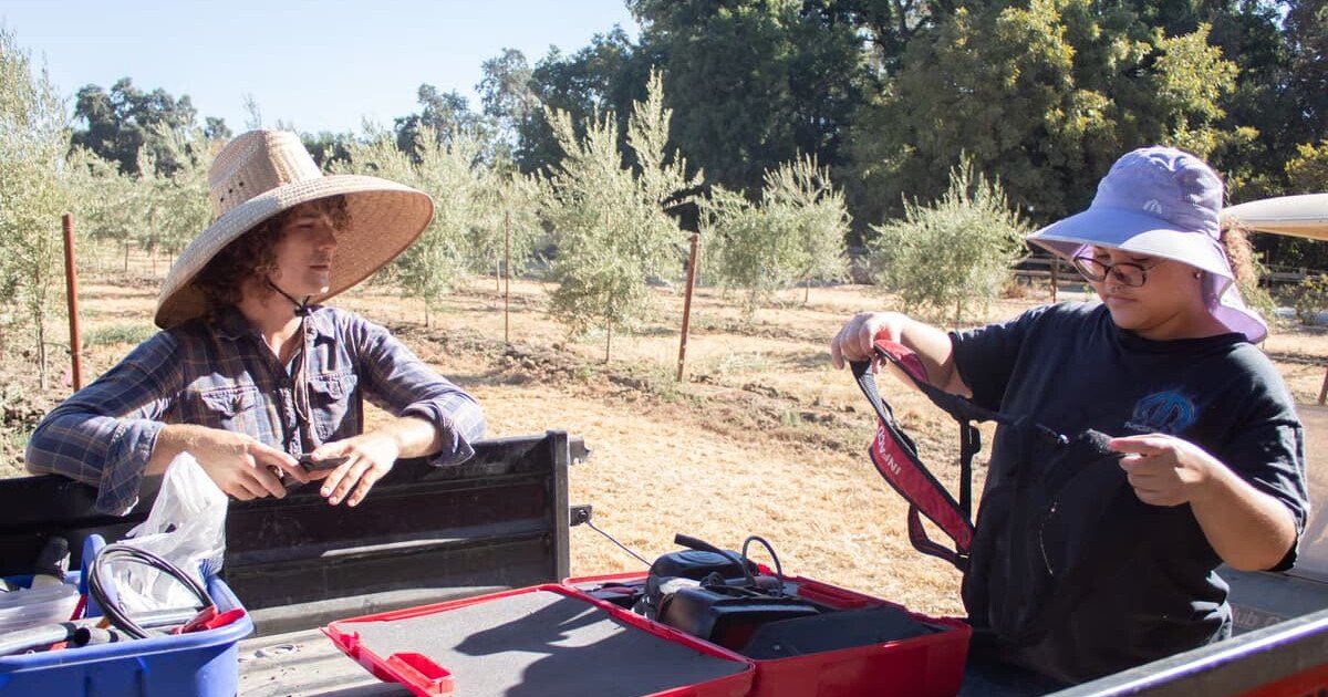 You are currently viewing California drew the line on regenerative agriculture. Farmers are making sense of it