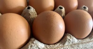 Read more about the article Local salmonella outbreak tied to raw eggs grows to 21 cases, 7 hospitalized