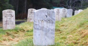 Read more about the article Over 81,000 U.S. soldiers are missing from past wars. One may soon be identified