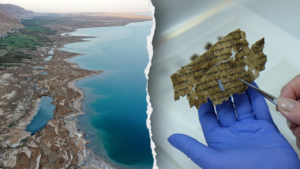Read more about the article Muslim peace advocate reveals what Dead Sea Scrolls tell us about Israel