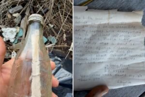 Read more about the article Mans finds Jersey Shore message tucked inside bottle 53 years after it was set adrift — discovers he shares birthday with girl who wrote it