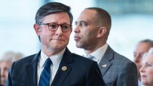 Read more about the article Mike Johnson says Hakeem Jeffries lost his ‘own backyard’ to DSA candidates