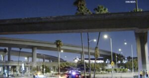 Read more about the article Motorcyclist takes fatal fall over edge of 105/110 freeway interchange in Los Angeles