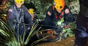 Read more about the article Car drops off Angeles Crest Highway, killing driver; 3 passengers survive