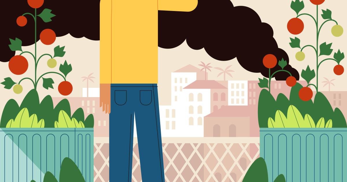 You are currently viewing Is it safe to eat from your garden after the Boyle Heights warehouse fire?
