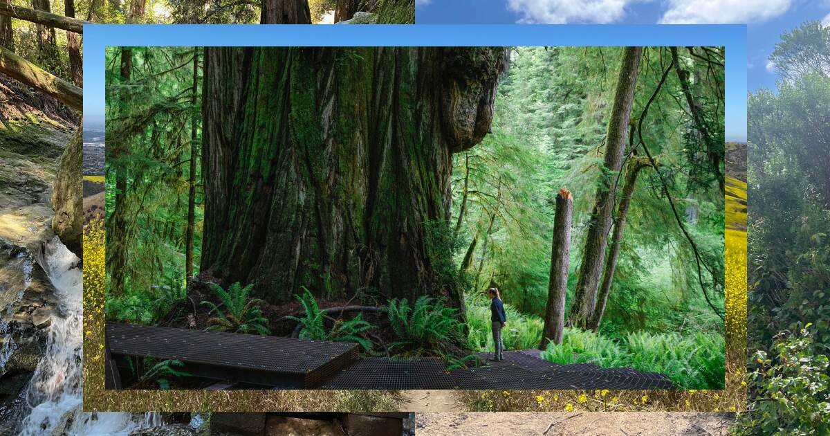 You are currently viewing 10 truly magnificent hikes in California’s state parks