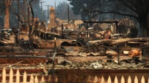 Read more about the article Fox Nation explores Virgin Mary statue that survived Los Angeles wildfires