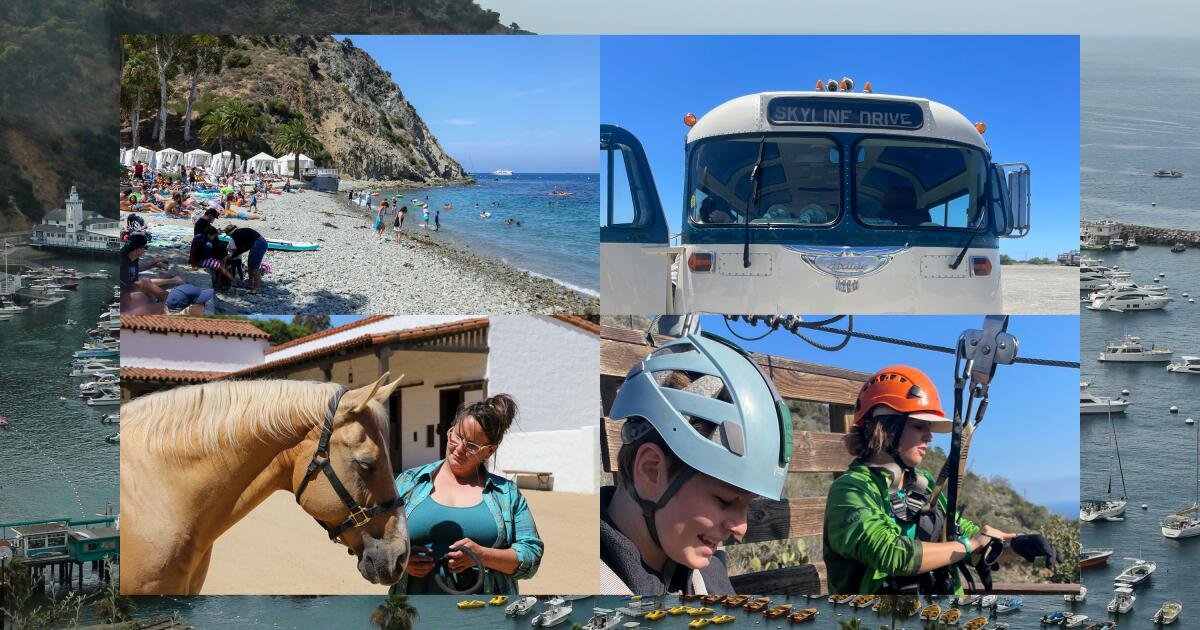 Read more about the article 9 new and under-the-radar things to do in Avalon, Catalina Island