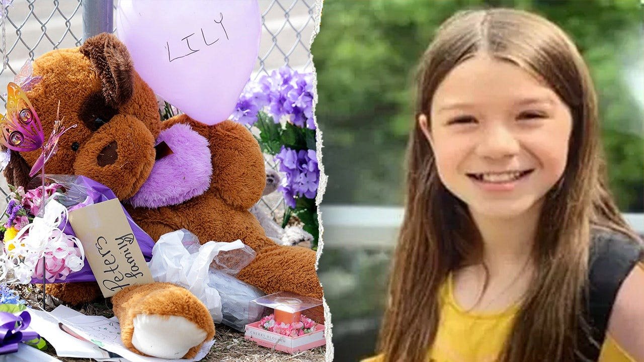 You are currently viewing Lily Peters murder case resolution hearing may replace November trial