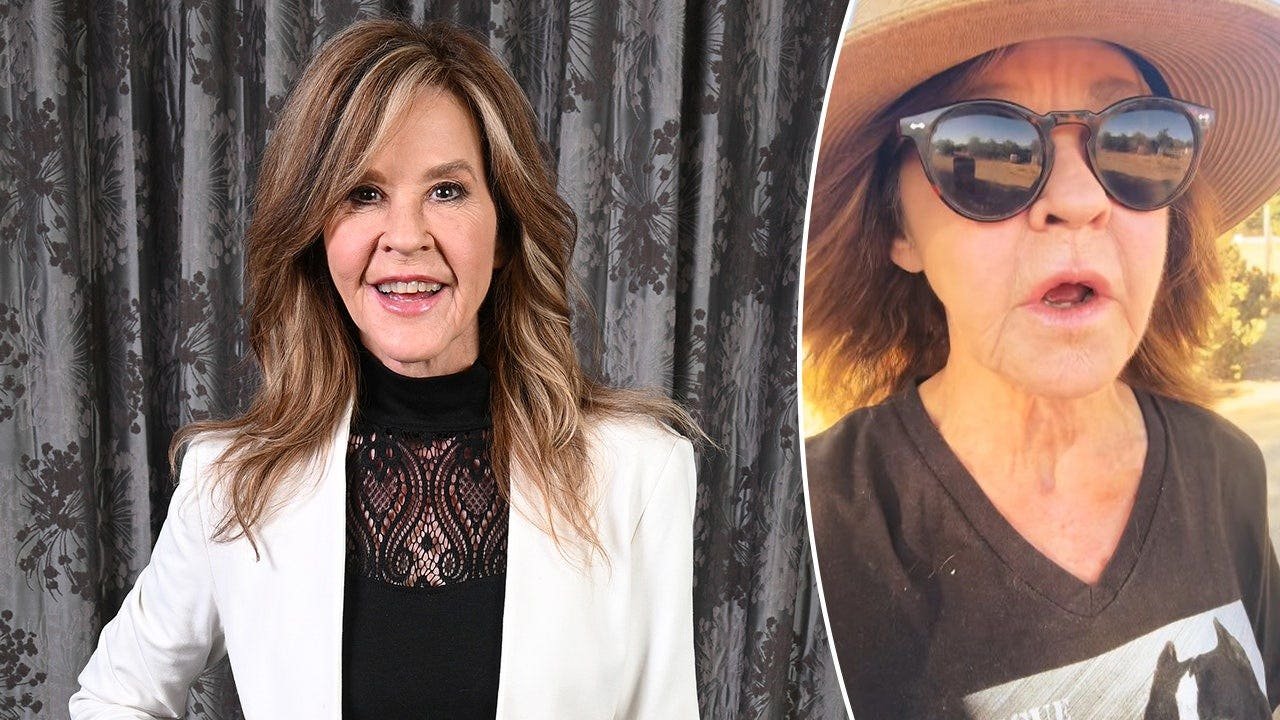 You are currently viewing Linda Blair speaks out after LA County searches her kennel property