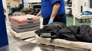 Read more about the article Mexican alligator lizards found smuggled in traveler’s socks at Tokyo airport