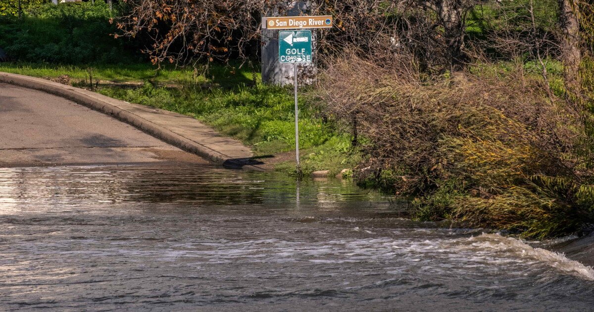You are currently viewing A ‘very strong’ El Niño is on the way. Here’s how to prepare