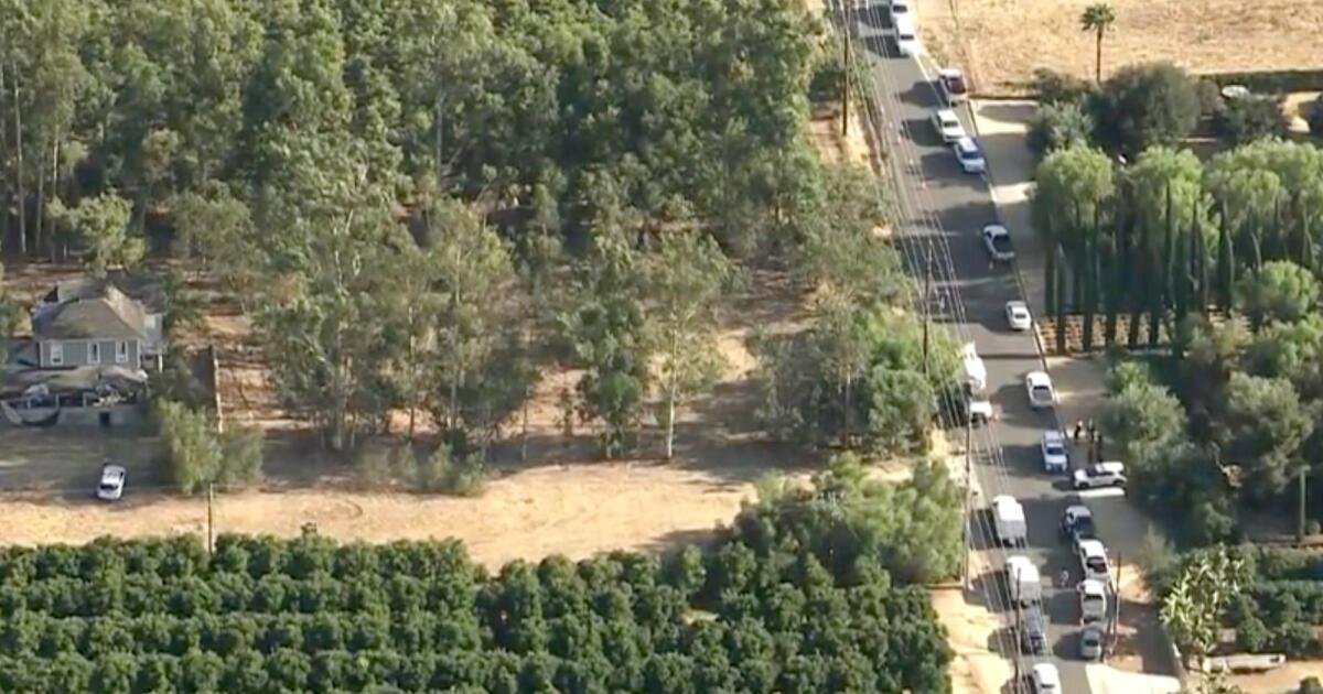You are currently viewing Man shot and killed by deputies after firing at Edison employees, authorities say