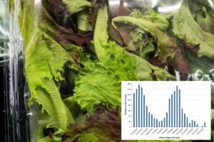 Read more about the article First deaths from ‘explosive diarrhea’ parasite outbreak reported in Michigan â as cases top 11,000