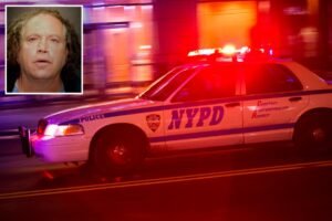 Read more about the article NYC man who made thousands of ‘false’ 911 calls over racially- charged crimes may soon learn fate: cops