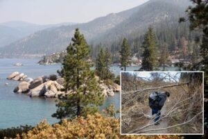 Read more about the article Tree poisoner on the loose in Lake Tahoe after spate of attacks at popular beach cove