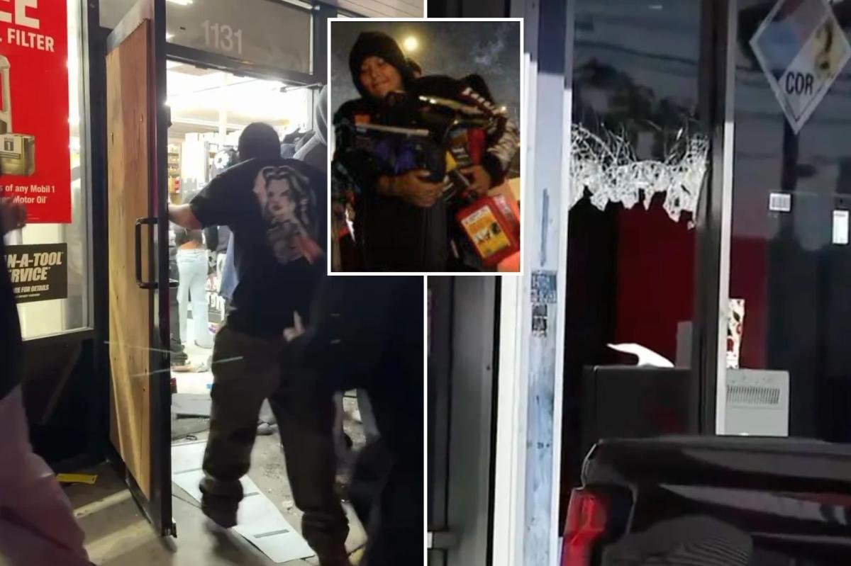 You are currently viewing Another LA AutoZone looted — days after cops plastered faces of brazen crew across the internet