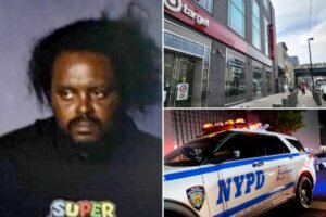 Read more about the article NYC thief with 150 busts and taste for Target candles arrested again, but quickly freed: ‘Makes no sense’