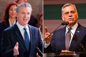 Read more about the article California Democrats need more spine to stop the socialists