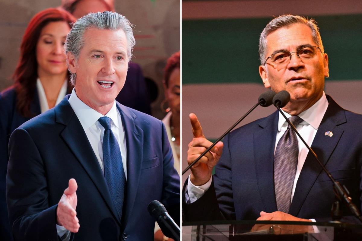 You are currently viewing California Democrats need more spine to stop the socialists