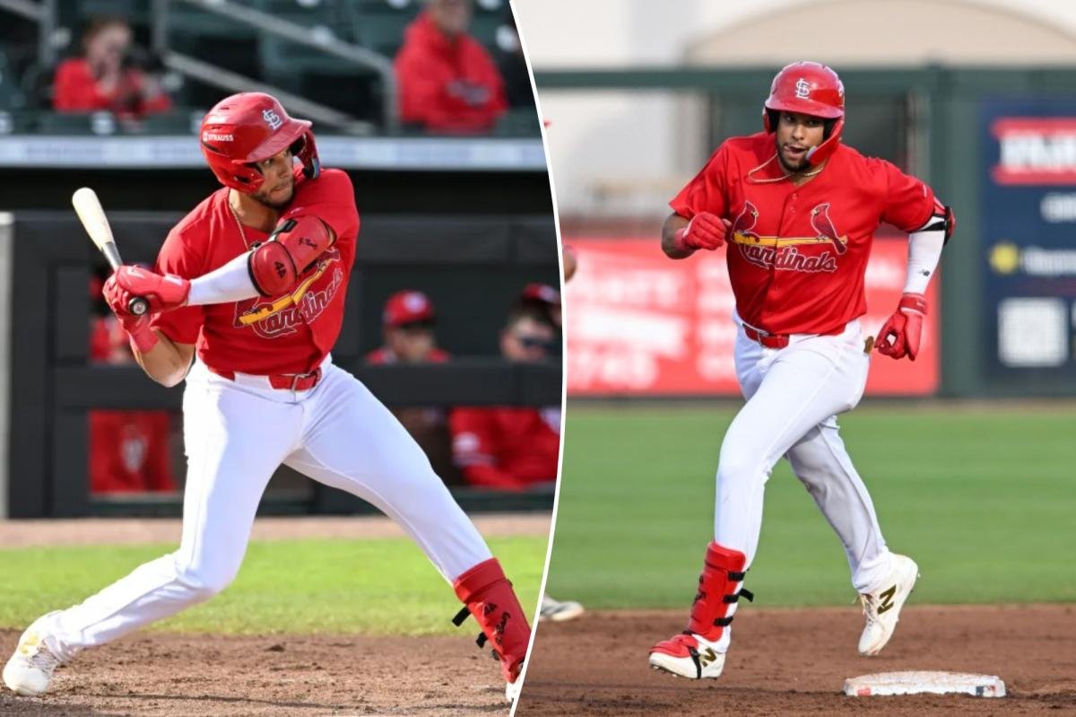 You are currently viewing Cardinals calling up prospect Joshua Baez in middle of tight playoff push